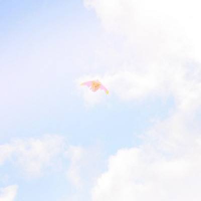 远古异兽录手游下载